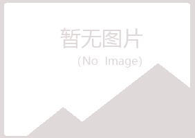 寿宁县夜山建设有限公司